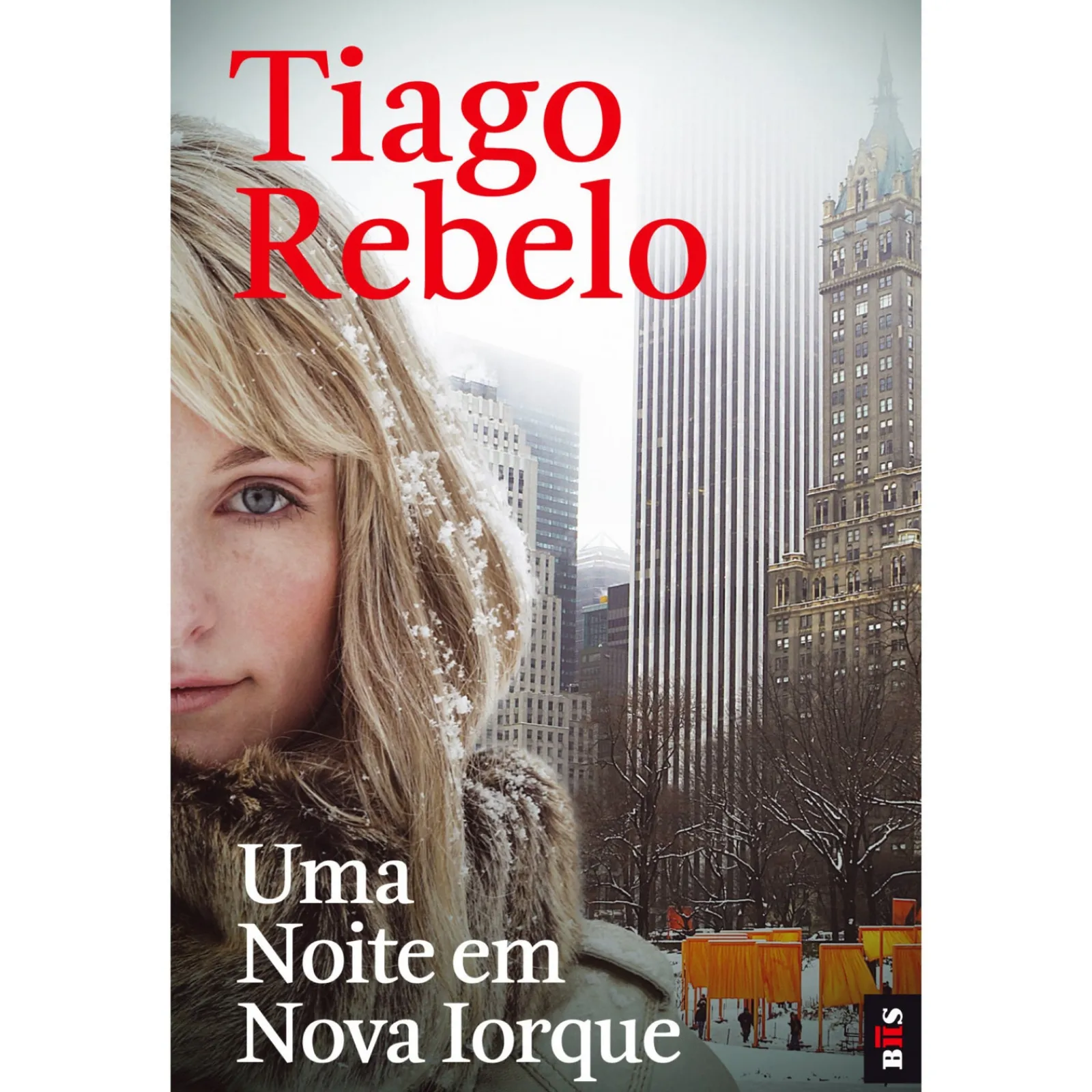 Hot Bis Uma Noite em Nova Iorque de Tiago Rebelo - Livro de Bolso