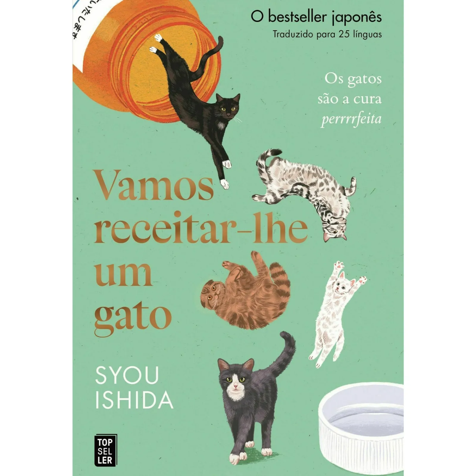 Online Topseller Vamos Receitar-lhe um Gato de Syou Ishida
