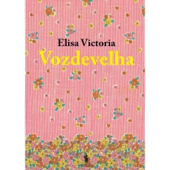 Dom Quixote Vozdevelha de Elisa Victoria